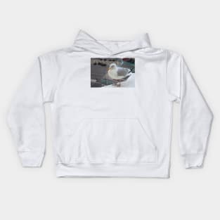 A European Herring Gull Kids Hoodie